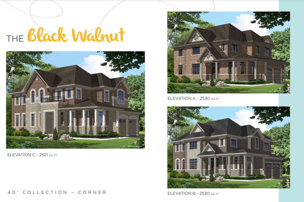 The Black Walnut floor plan