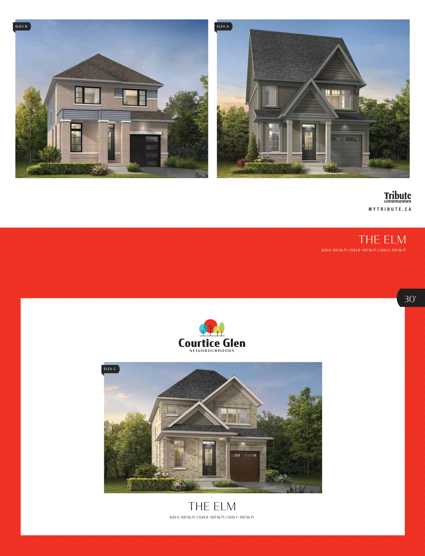 THE ELM C floor plan