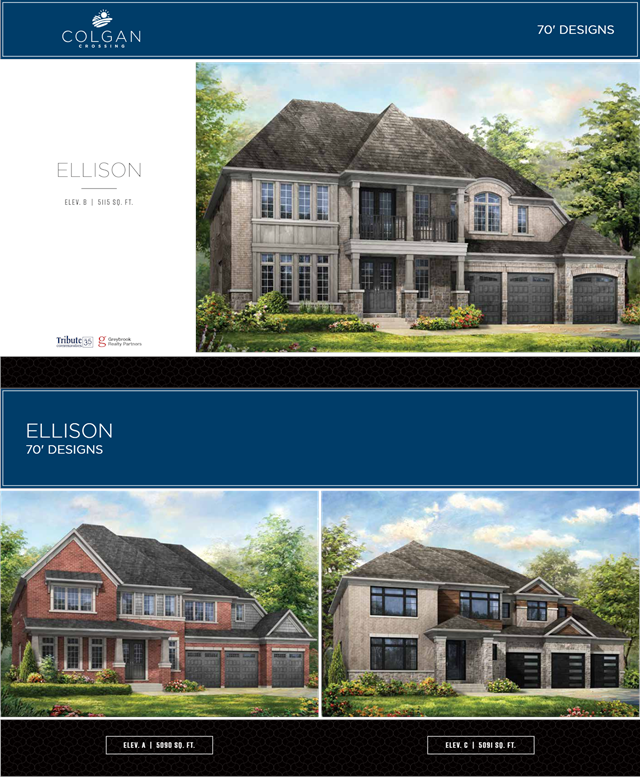 hero-image-0